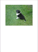 Hallooo, ich bin BENJY